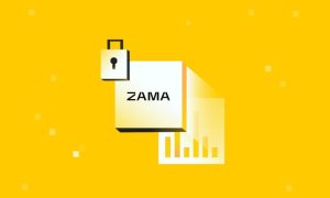 Read more about the article Introducing the Zama Confidential Blockchain Protocol