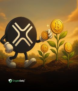 Read more about the article DigitalX Secures $13.5M to Expand Bitcoin Holdings; Bolster Strategic Leadership