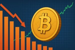 Read more about the article Bitcoin: decline in transactions while the price reaches new highs