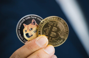 Read more about the article Investor Recommendation: Top 10 Best Free Bitcoin and Dogecoin Cloud Mining Platforms with the Highest Profitability in 2025