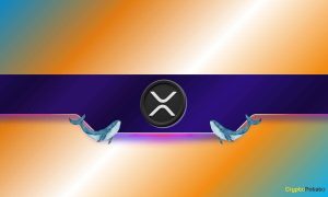 Read more about the article XRP Price Jumps 26% Weekly as Whale Moves in: $3 Breakout Ahead?