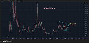 Read more about the article Bitcoin Cash Rallies to Nearly $650, Highest Level Since April 2024