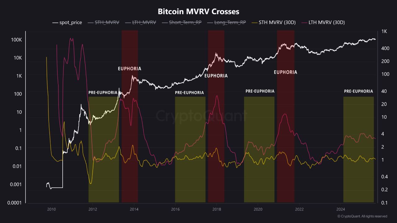 You are currently viewing Bitcoin’s Final Buy Zone? Pre-Euphoria Signal Flashes Bullish