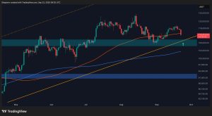 Read more about the article Bitcoin Price Analysis: More Trouble Ahead for BTC if This Support Cracks