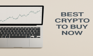 Read more about the article Which Is The Best Crypto To Buy Now? Polkadot, Bitcoin Cash Or Remittix?