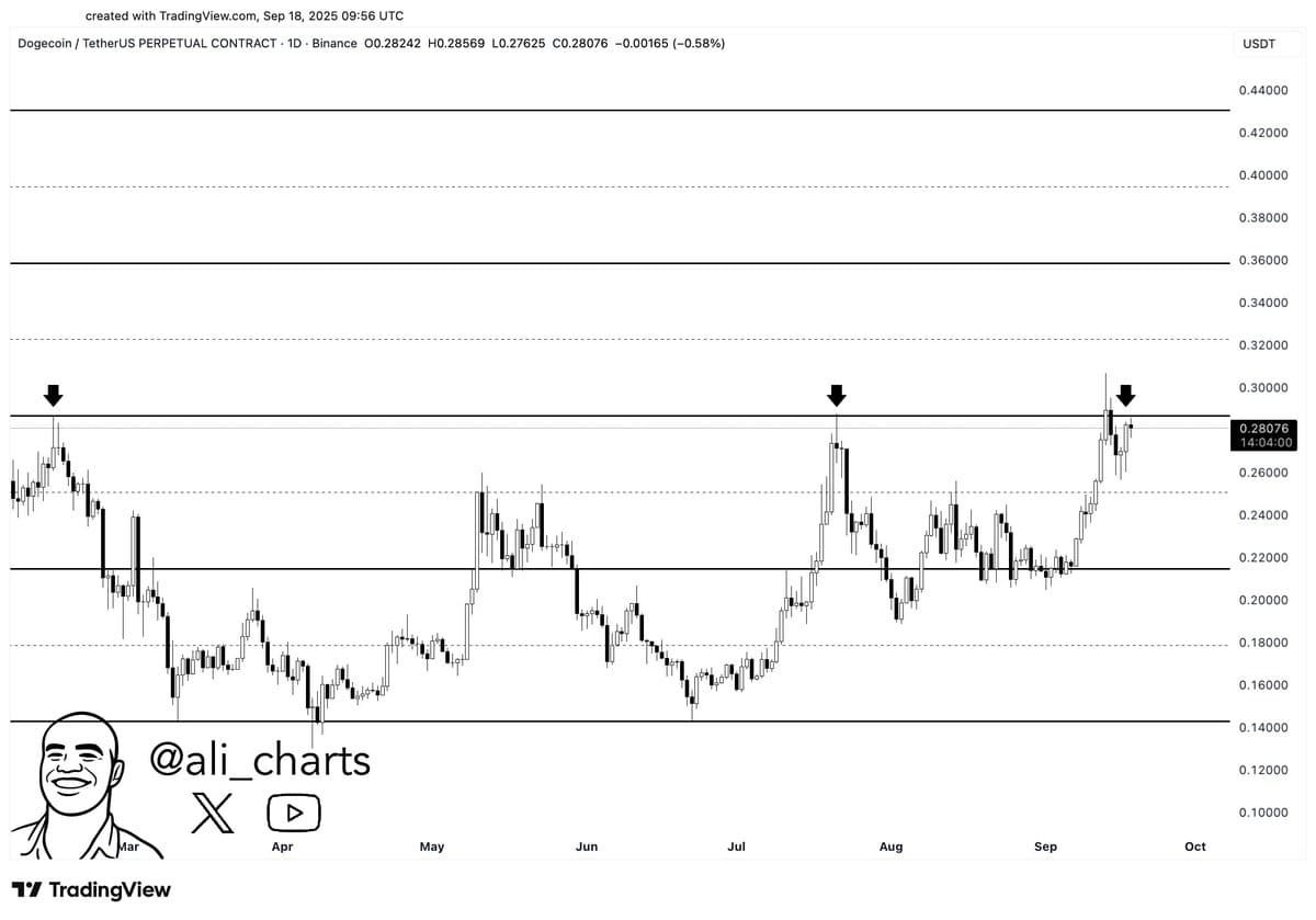 You are currently viewing 158,000,000 DOGE Bought by Whales – What’s Happening?