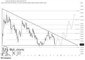Read more about the article Is This the Calm Before XLM’s Jump to $0.50?