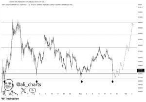 Read more about the article 30,000,000 XRP Bought by Whales in 24H: What Do They Know?