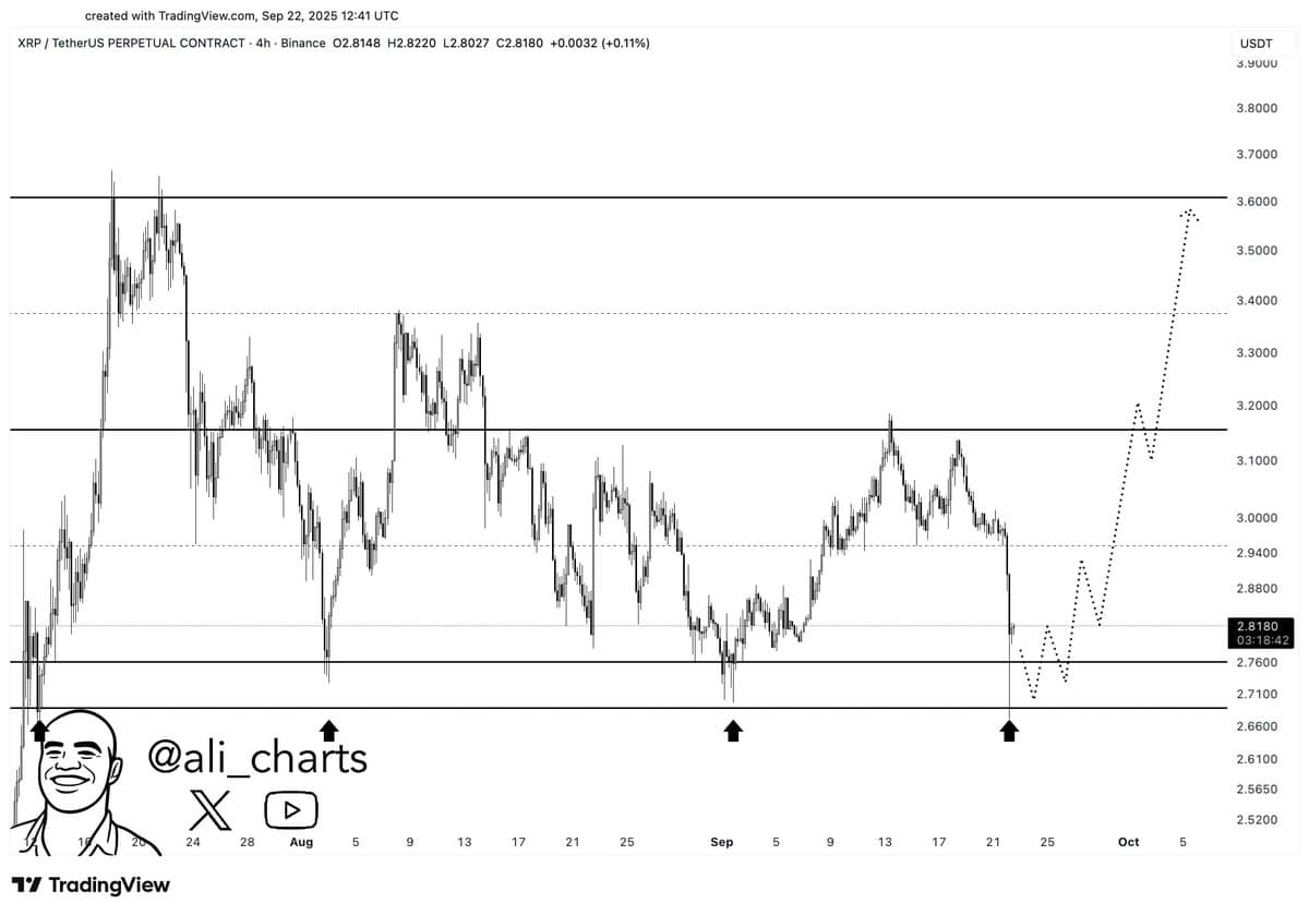 You are currently viewing 30,000,000 XRP Bought by Whales in 24H: What Do They Know?