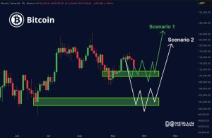 Read more about the article Is the Worst Over for Bitcoin? BTC Price Flashes Bullish Signal