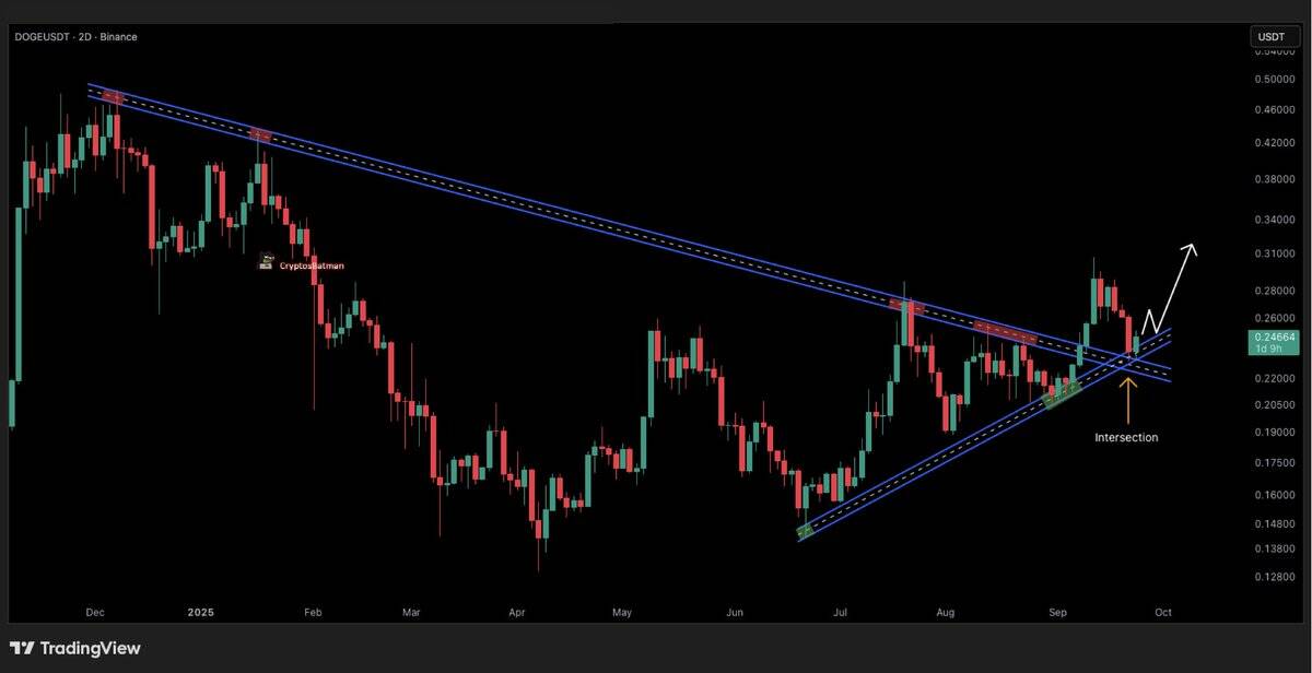 You are currently viewing 2,000,000,000 DOGE Bought by Whales in 2 Days: What’s Coming Next?