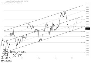 Read more about the article After 26% Weekly Drop, Can HYPE Bounce Back to $50?