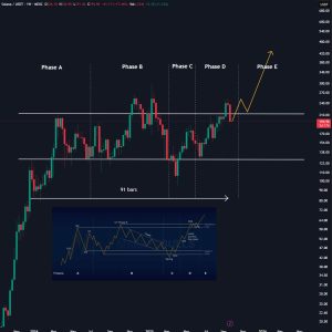 Read more about the article SOL’s Last Dip? Analyst Sees $500 Target This Cycle