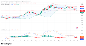 Read more about the article Chainlink Dips, But Is a Big Rally to New ATH Coming Soon?