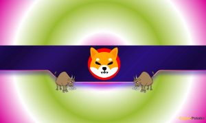 Read more about the article 3 Reasons Why Shiba Inu (SHIB) Might be Poised for a Rally