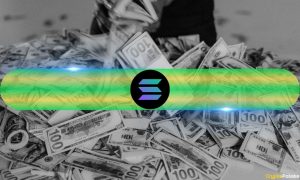 Read more about the article Why Solana May Offer the Greatest Upside in Crypto – Pantera Capital Explains