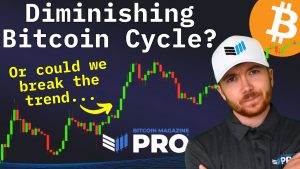 Read more about the article Will Bitcoin Price Defy Diminishing Returns This Cycle?