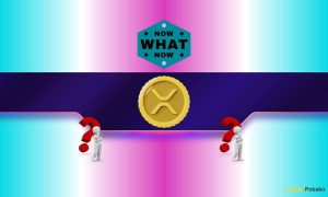 Read more about the article Ripple (XRP) Defends a Critical Level – Is a Massive Double-Digit Rally Next?