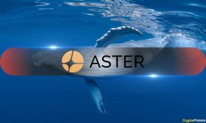 Read more about the article Whales Scoop Up Over  $48M in ASTER Within 24 Hours