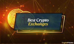 Read more about the article Best Crypto Exchanges in 2025: Complete Comparison