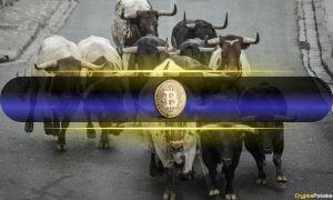 Read more about the article Bitcoin’s Bull Run Backed by Growing Long-Term Holders