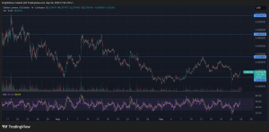 Read more about the article XLM Consolidates After Sharp Decline, Testing Key Support Levels