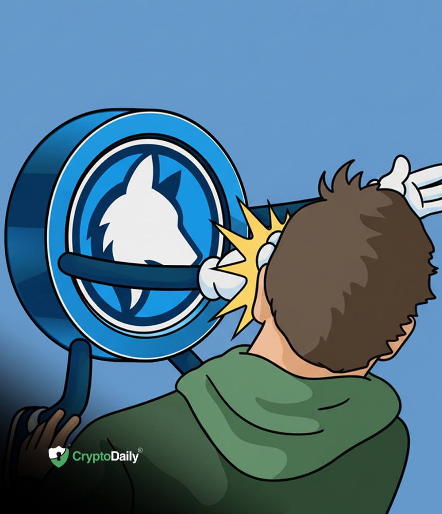 You are currently viewing Husky Inu (HINU) Completes Move To $0.00020991