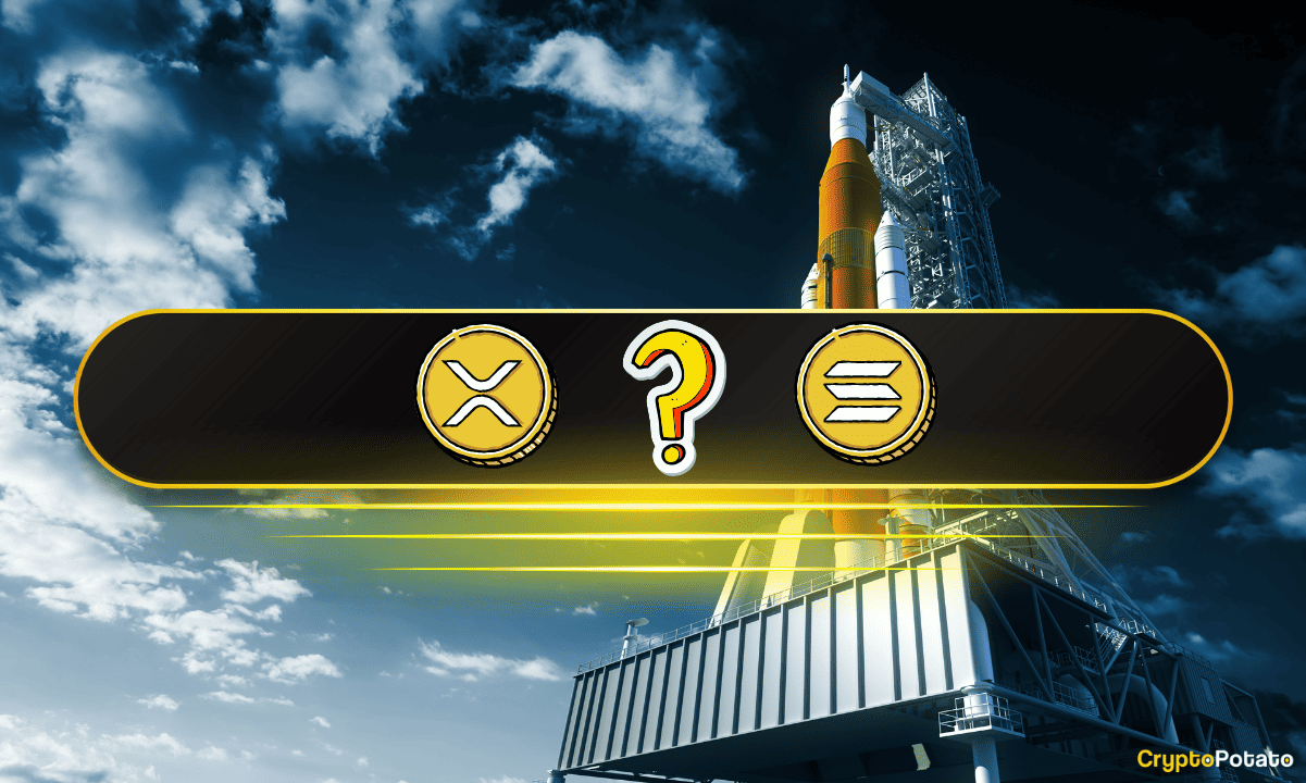 You are currently viewing Only 24% of Altcoins Are Above Their 200-Day SMA – Is a Massive Buy Opportunity Brewing?