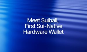 Read more about the article Citadel Launches SuiBall, the First Sui-Native Hardware Wallet