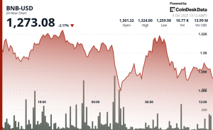 Read more about the article BNB Falls 2% as Memecoin Trades Unwind Despite 'Hard to Ignore' Rally