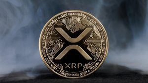 Read more about the article Why I Sold All My XRP To Go All In On Paydax (PDP) – Ripple Millionaire Reveals Big Gamble Expecting 35,000% Returns
