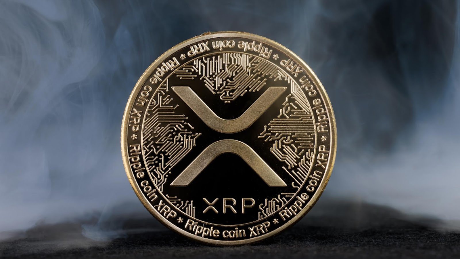 You are currently viewing Why I Sold All My XRP To Go All In On Paydax (PDP) – Ripple Millionaire Reveals Big Gamble Expecting 35,000% Returns