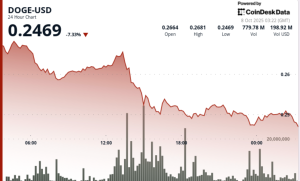 Read more about the article Dogecoin Plunges 8% Before Whale Buying Stabilizes at DOGE Prices $0.25