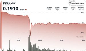 Read more about the article DOGE Suffers 50% Flash Crash Before Stabilizing Near $0.19