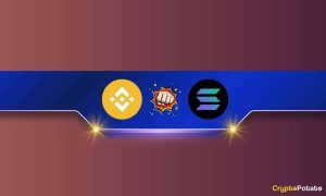 Read more about the article BNB Chain Crushes Solana to Reclaim First Spot in Active Addresses