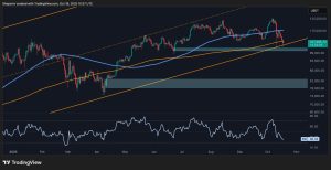 Read more about the article Bitcoin Price Analysis: First Bearish Signs Appear as BTC Falls by $20K From ATH