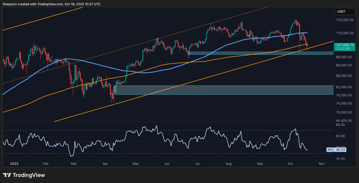 You are currently viewing Bitcoin Price Analysis: First Bearish Signs Appear as BTC Falls by $20K From ATH