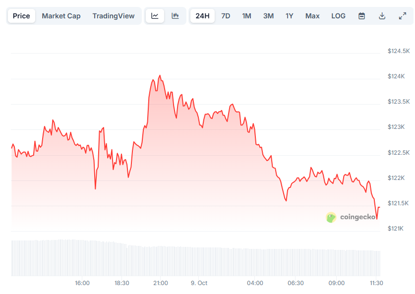 You are currently viewing Bitcoin (BTC) Dips Below $122K, ZCash (ZEC) Explodes by 35%: Market Watch