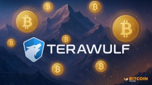 Read more about the article Bitcoin Miner TeraWulf (WULF) Stock Jumps 25% on Positive AI News 