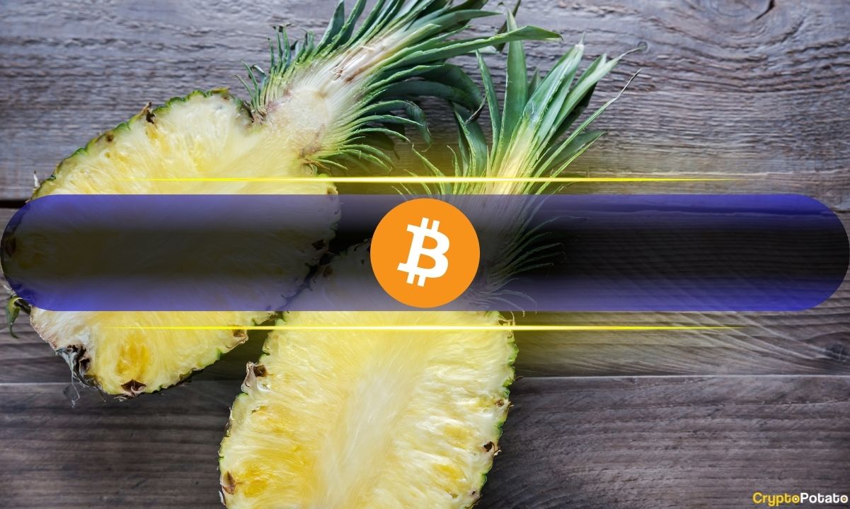 You are currently viewing Bitcoin’s (BTC) Double-Digit Post-Halving Surge Hasn’t Hit Overbought Yet