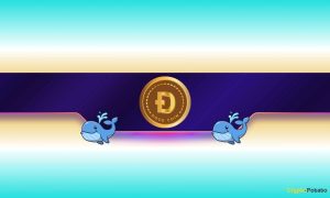 Read more about the article 30,000,000 DOGE in Just 1 Day: Is Dogecoin Gearing up for Further Rally?