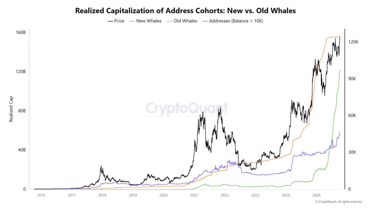 You are currently viewing 60,000 BTC Bought by Whales in 7 Days: Will Bitcoin Pump or Dump?