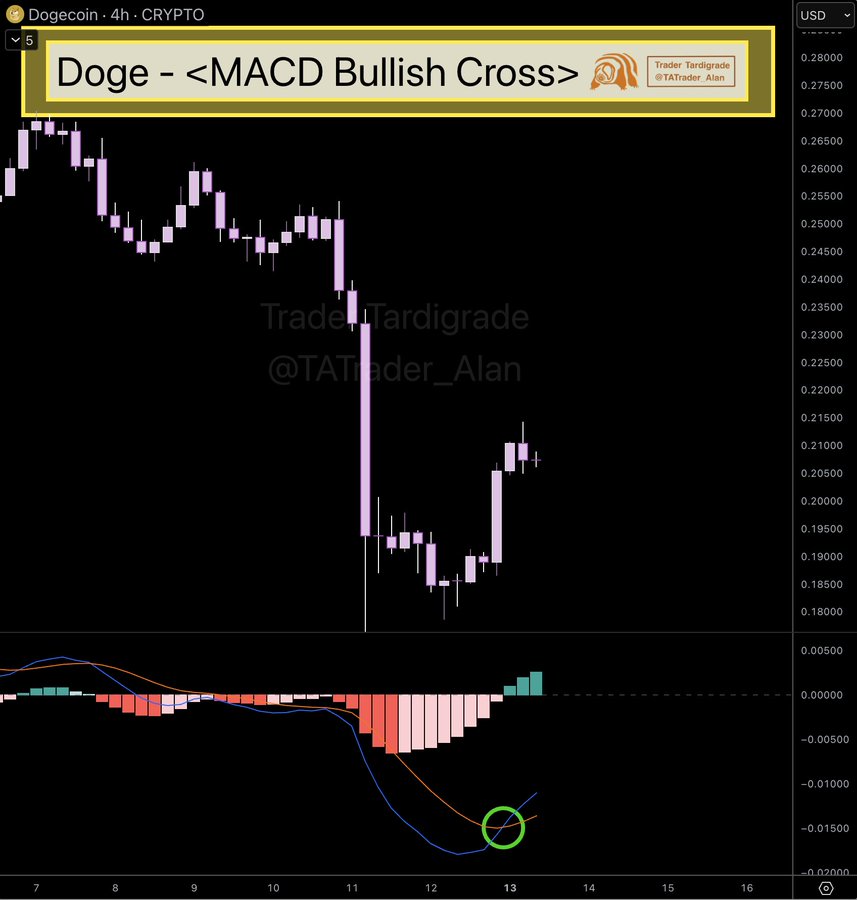You are currently viewing DOGE Up 11%: Bullish MACD Cross Hints at Reversal