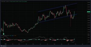 Read more about the article HYPE Rallies 36% in a Week, But Momentum Nears a Crossroad