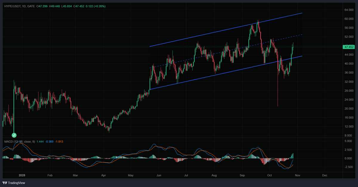 You are currently viewing HYPE Rallies 36% in a Week, But Momentum Nears a Crossroad