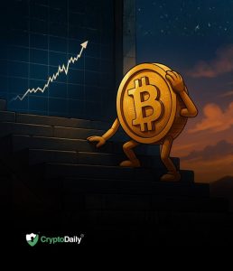 Read more about the article Last Bitcoin (BTC) Dip Before New All-Time High?