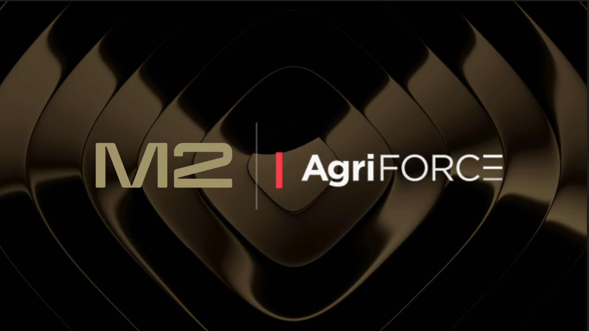 You are currently viewing M2 Capital Announces $21 Million Investment in AVAX Digital Asset Treasury, AVAX One