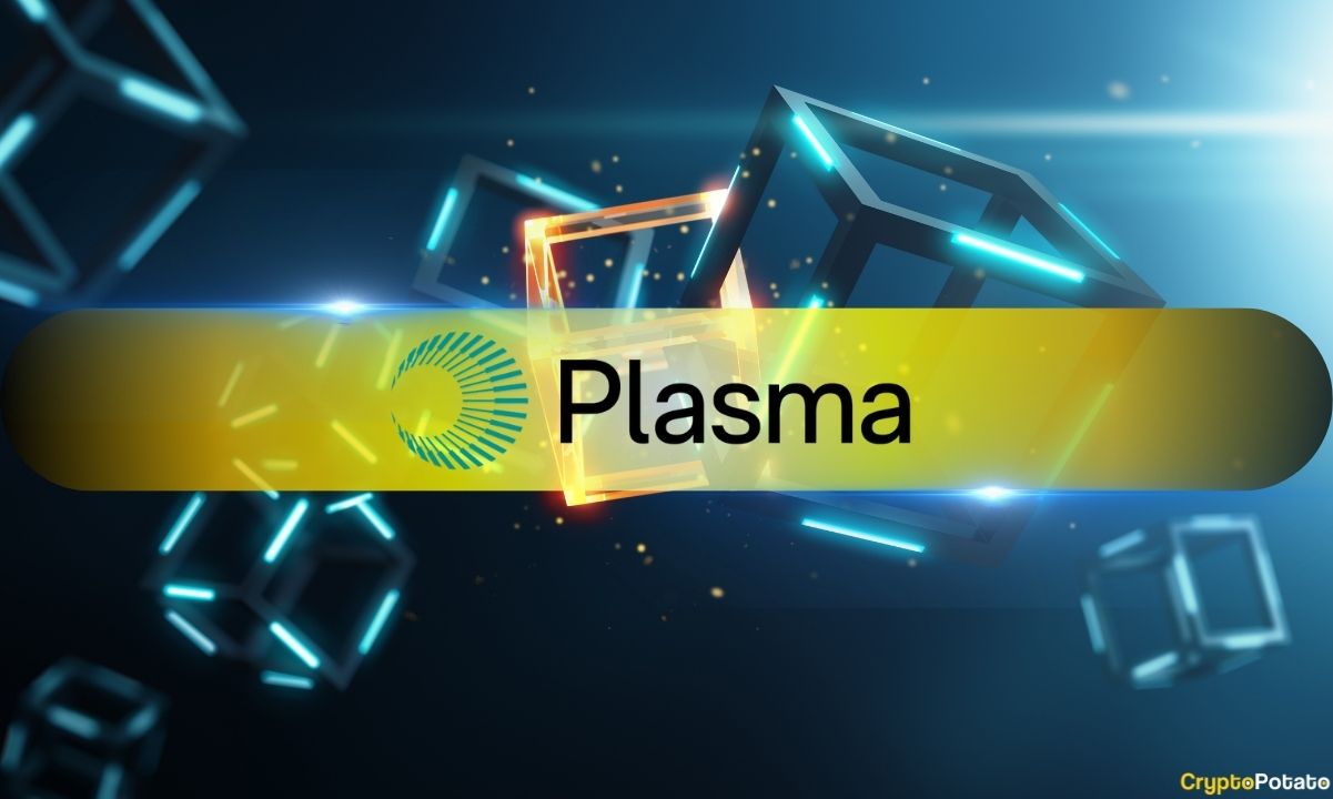 You are currently viewing Plasma CEO Denies XPL Token Sale Rumors