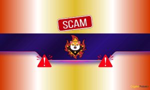 Read more about the article Critical Warning Concerning Shiba Inu (SHIB) Users: Details