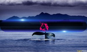 Read more about the article Binance Whales Are Quietly Buying Up Uniswap’s UNI Token Amidst Market Weakness